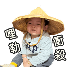 小蘿蔔ㄟ大佬日常