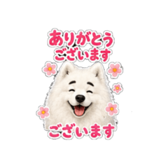 Happy Happy_20260508042131
