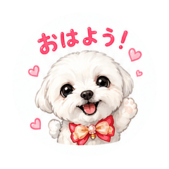 sin_20260508035634