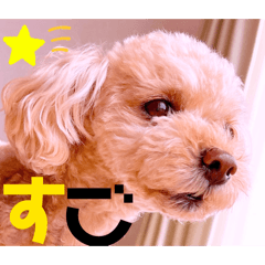 Mochioba_20260511080611
