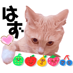 Mochioba_20260511081919