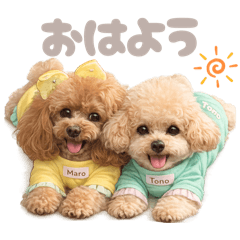 DOG STAMP ORDER_20260511085348