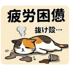 nekomania_20260429231530