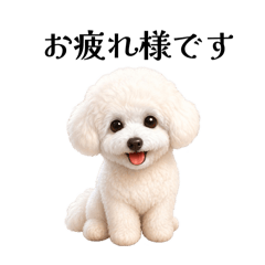 Goro_20260430025323