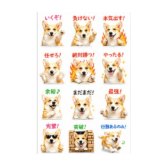 CORGISM_cute_CUTE