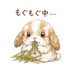 Takamine_20260508091833