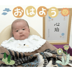 kohaku_20260508092616