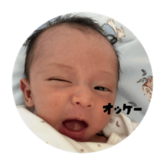 hikaru_20260508094724