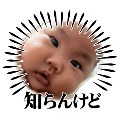 reina_20260508093958