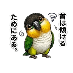 Ai_20260508094711