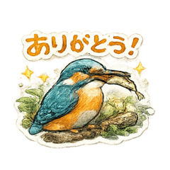 Momoji_20260508130600