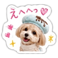 HITOMI_20260508095212
