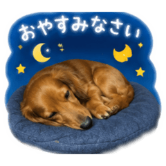 nao_20260508100003