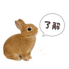 Chinatsu_20260508130839