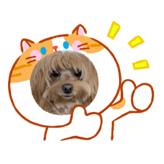 Remu_20260508125710