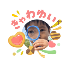koba_20260508061520