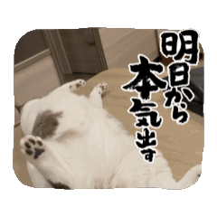 runa_20260510145644