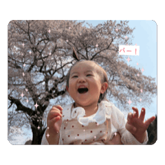 Aoi_20260510183312