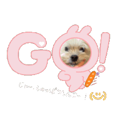 Ruka_20260510215519