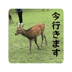 Gonjiro_20260510211624