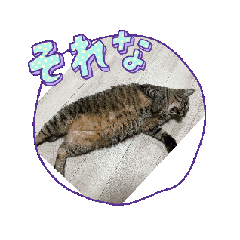 take_20260511061710