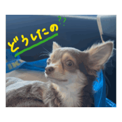 moehori_20260510211939