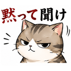 N family_20260430205538