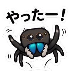 Chubby Spider