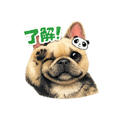 Cutey French Bulldog