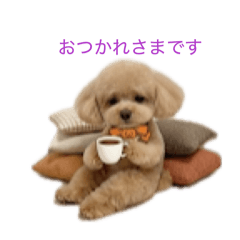 JUNJUN_20260506154435