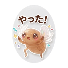 koko_20260506170343