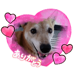 tomoko_20260506170506