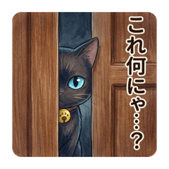 persons_20260506154247