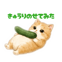 NVboy_20260506173347
