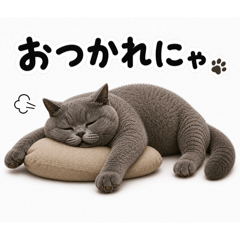 ikumi_20260506182246