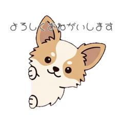 vivi_20260508070906