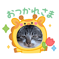 AnjyuRose_20260506180939