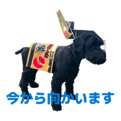 daikichi_20260508072758