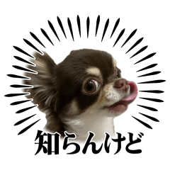 Bebebe_20260508070548