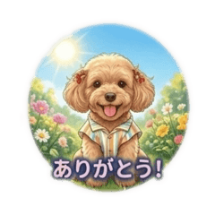 FUWARISTANP_20260508073057