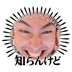 shiyon_20260508073713