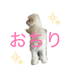 Sorachan_20260508071140