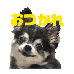 ndk_20260508100305