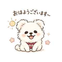 Mofumofu Studio