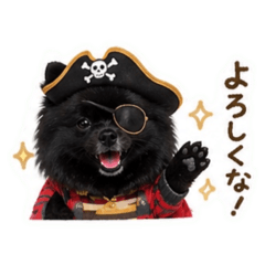 naonao_20260508102718