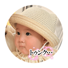 syo_20260508110012