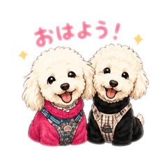 tomika_20260508111848