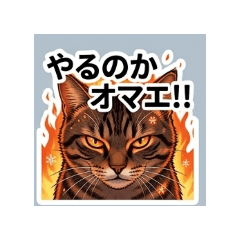 kycombo_20260508080845