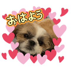 ami_20260508081009