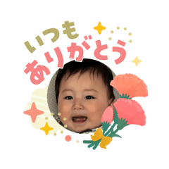 kameria_20260508084457